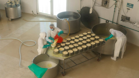 Construite en 2002, la fromagerie Salinas de Guaranda a été dimensionnée pour traiter 10 000 litres qu’elle n’a jamais atteints, 6 000 au maximum mais 3 000 depuis longtemps maintenant. "La production a a baissé parce que les producteurs ont créé des fromageries dans chacune des 30 communautés, et c’est bien. Certains marchaient jusqu’à deux heures pour apporter leur lait", rapporte un coopérateur.
